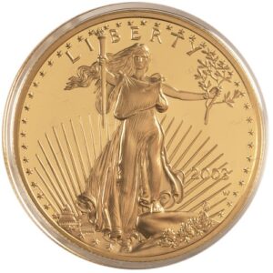 2003-W 1 oz Proof American Gold Eagle Coin (Box + CoA)