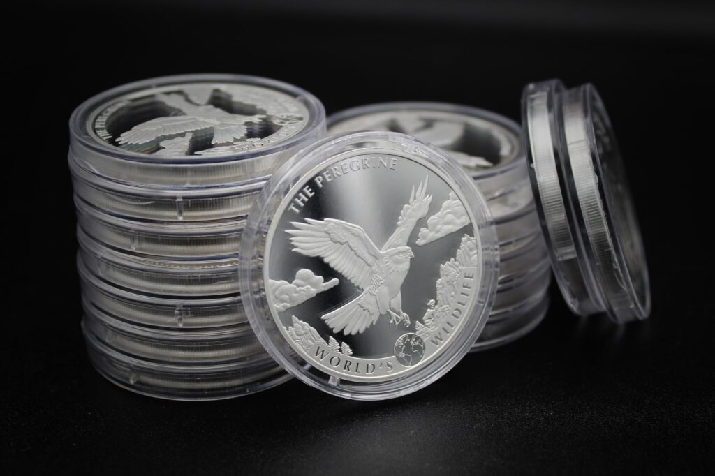 Congo Silver Coins