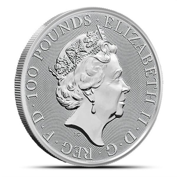 1 oz British Platinum Britannia Coin (Random Year) - Image 2