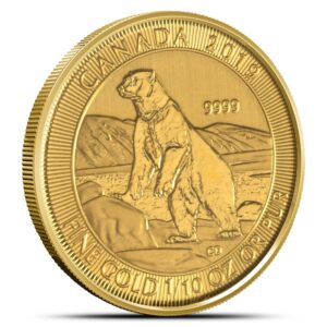 2019 1/10 oz Canadian Gold Polar Bea