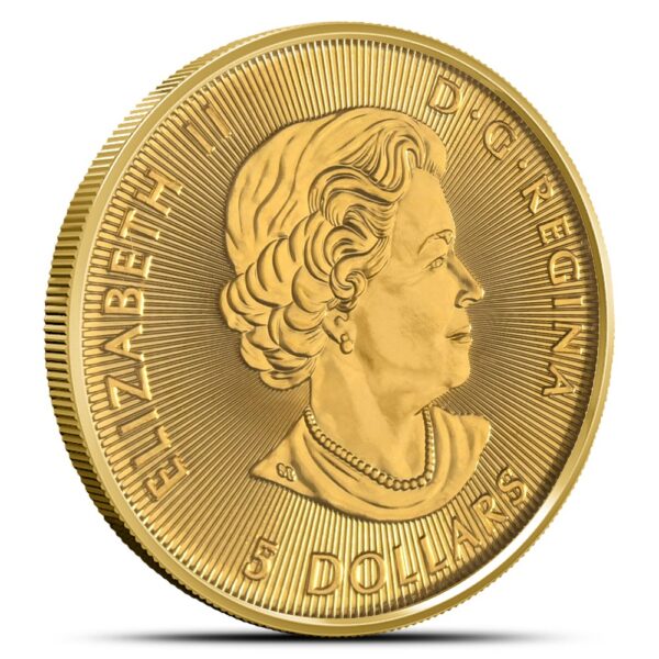 2019 1/10 oz Canadian Gold Polar Bear Coin - Image 2