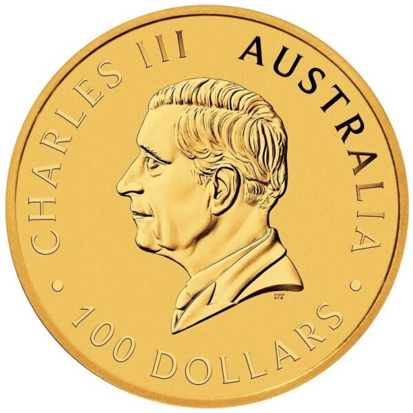 2024 1 oz Australian Kangaroo Gold Nugget Coin - Image 2