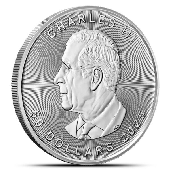 2025 1 oz Canadian Platinum Maple Leaf Coin (BU) - Image 2