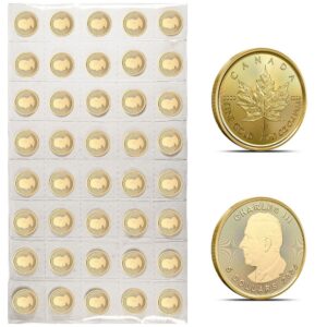 1/10 oz Canadian Gold Maple Leaf She