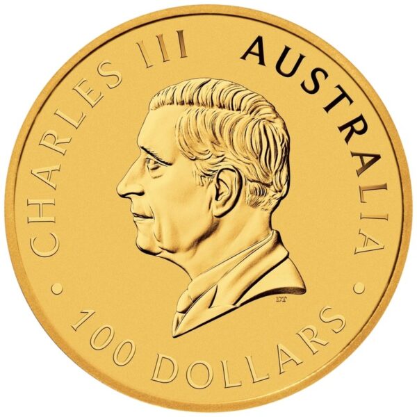 2025 1 oz Australian Kangaroo Gold Nugget Coin - Image 2