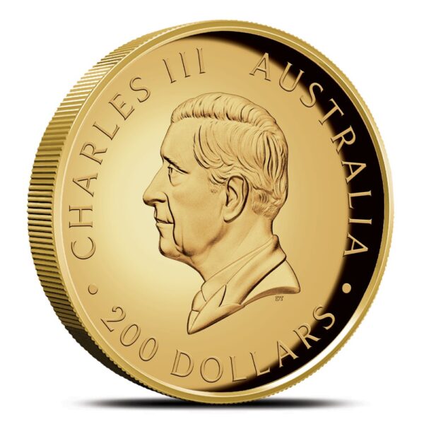 2025 2 oz Proof Australian Gold Kangaroo Coin (High Relief) - Image 3