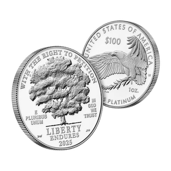 2025-W 1 oz Proof American Platinum Eagle Coin (Box + CoA) - Image 2