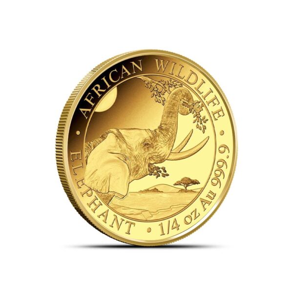 2023 Proof Somalia Gold Elephant African Wildlife Prestige Coin Set (Box + CoA) - Image 7