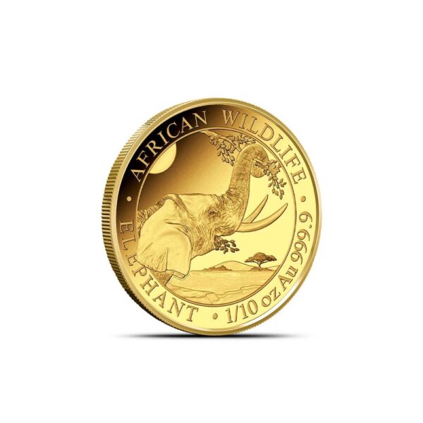 2023 Proof Somalia Gold Elephant African Wildlife Prestige Coin Set (Box + CoA) - Image 9