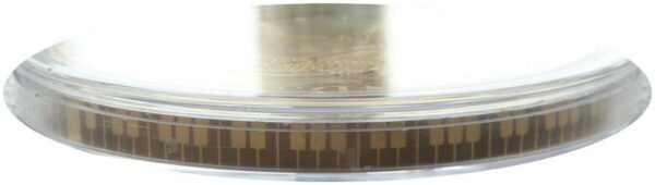 2020 1 kg Music Legends Queen Gold Proof Coin (Box/Coa) - Image 6
