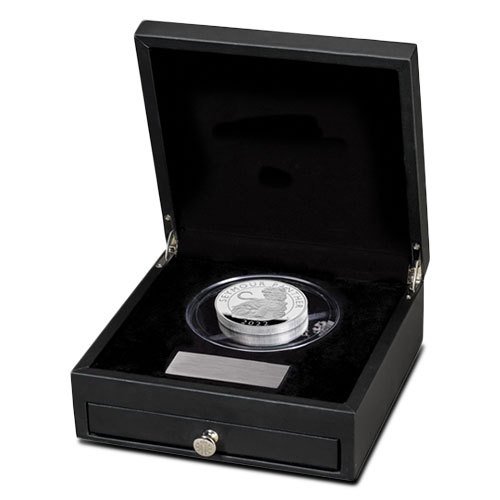 2022 10 oz Proof British Silver Tudor Beasts Seymour Panther Coin (Box + CoA) - Image 2