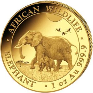 Buy 2022 Somalia Gold Elephant African Wildlife Prestige Proof Coin Set (Box + CoA)